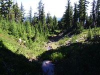 Diamond Peak Wilderness Creeklet - Cool and Refreshing!