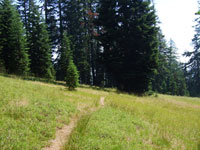 Southern Oregon Trail